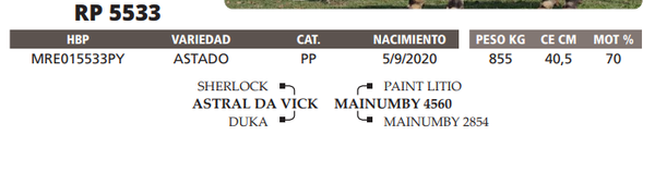 Lote LOTE 17