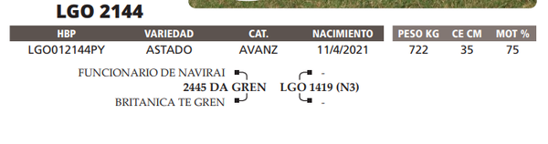 Lote LOTE 21