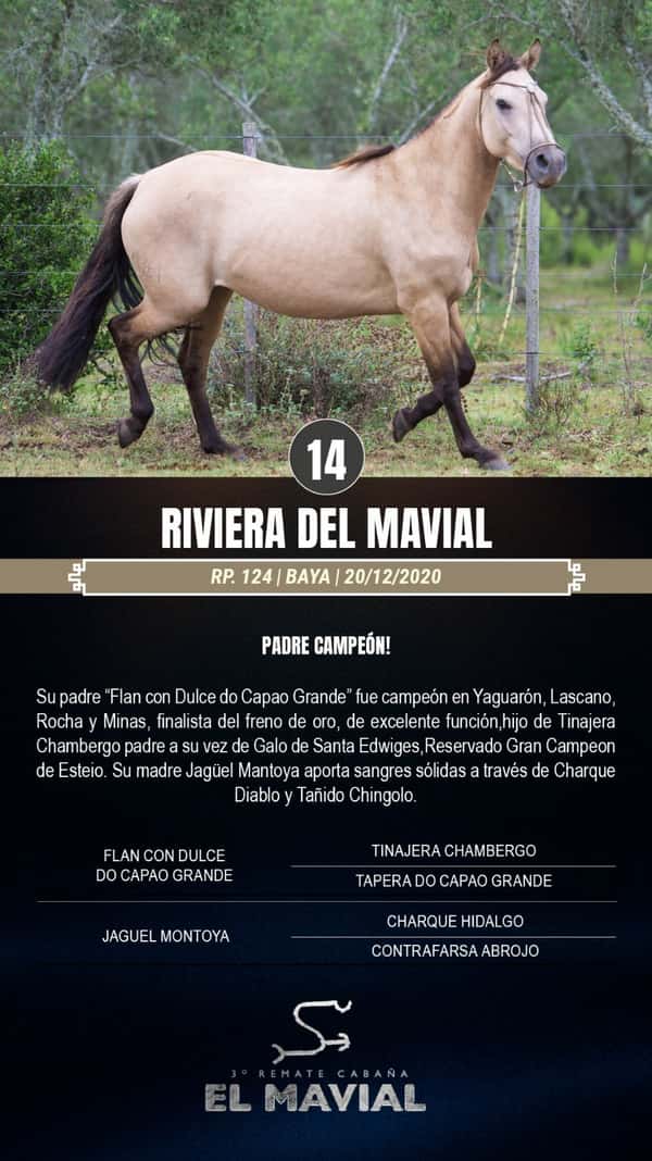 Lote Rivera del Mavial