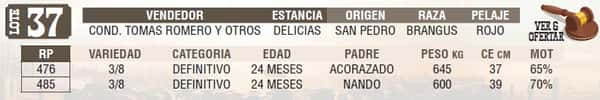 Lote LOTE 37 - EN VIVO