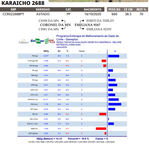 Lote LOTE 76