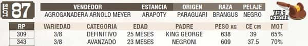 Lote LOTE 87- EN VIVO