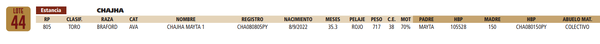 Lote LOTE 44