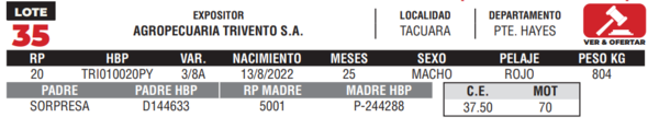 Lote LOTE 35- CAMPO