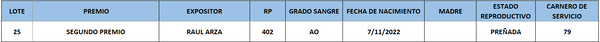 Lote LOTE 25