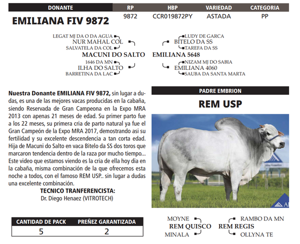 Lote LOTE 46