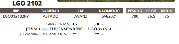 Lote LOTE 35