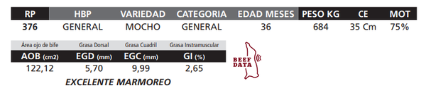 Lote LOTE 27