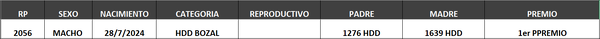 Lote LOTE 44- BOZAL