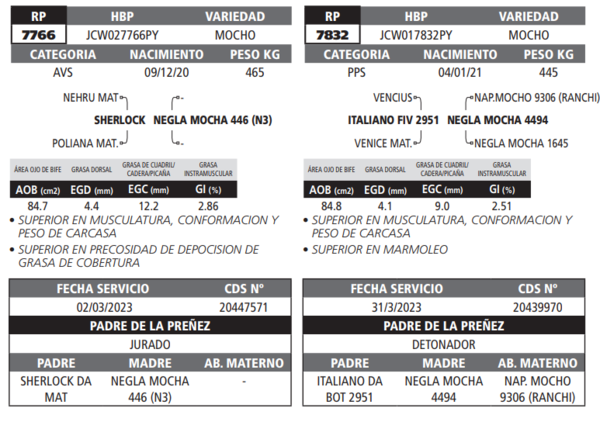 Lote LOTE 40