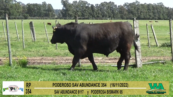 Lote Toros Angus a remate en Cabaña La Poderosa, Florida