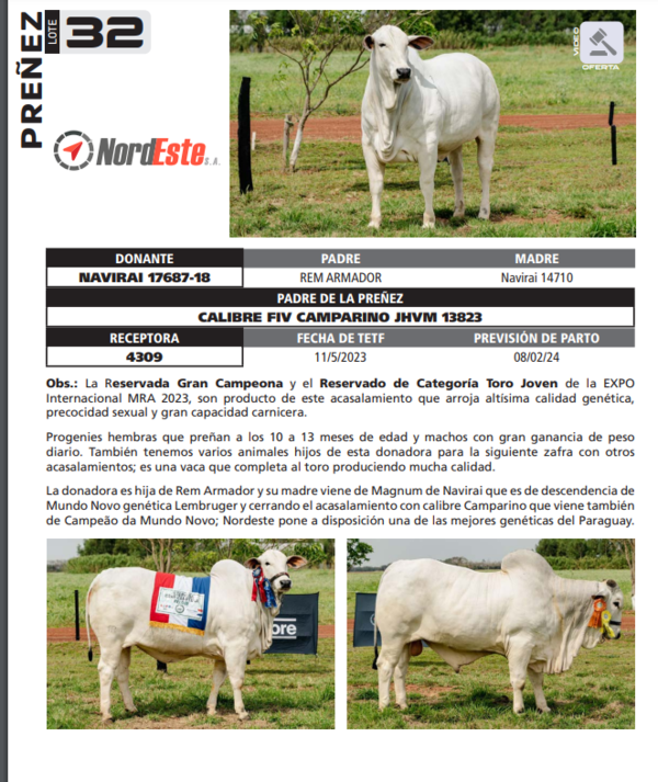 Lote LOTE 32