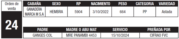 Lote LOTE 24