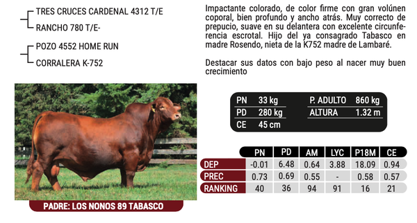 Lote "FERTIGEN"  - HALCÓN ROJO - CORRALERO 14568 TABASCO ROSENDO