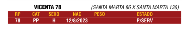 Lote LOTE 24