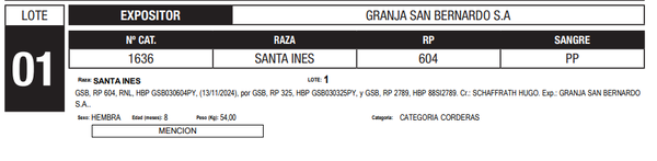 Lote LOTE 1