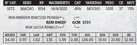 Lote LOTE 16 - BOZAL