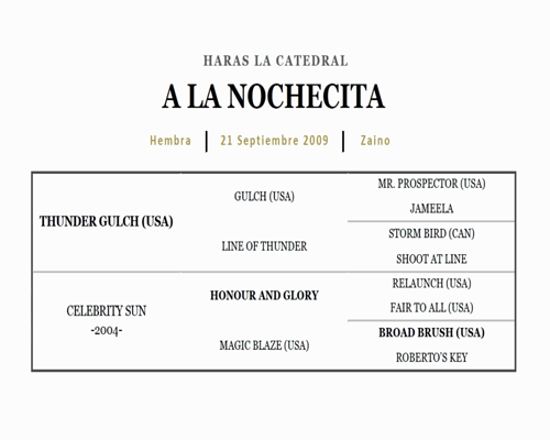 Lote CULTURA GUARANI (PURE PRIZE - CUÑATAHI)