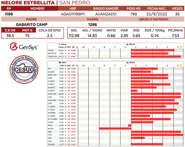 Lote LOTE 24