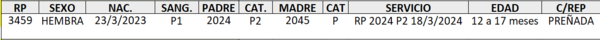 Lote LOTE 14 DE CATALOGO