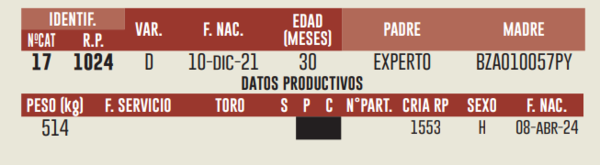 Lote LOTE 15