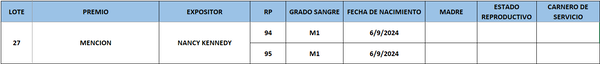 Lote LOTE 27