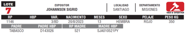 Lote LOTE 7- JUNIOR