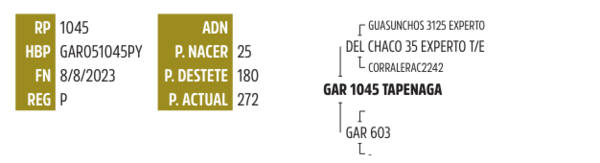 Lote LOTE 24