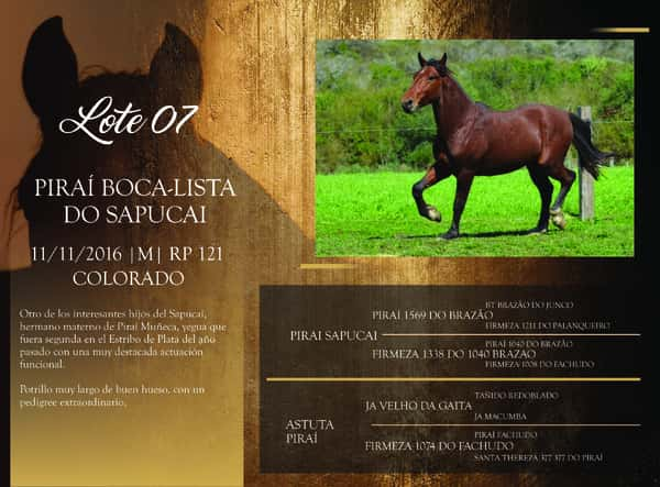 Lote RP 121 - PIRAÍ BOCA-LISTA DO SAPUCAI