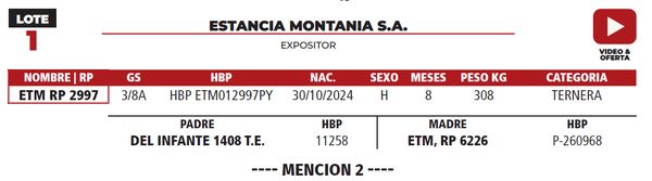 Lote LOTE 1
