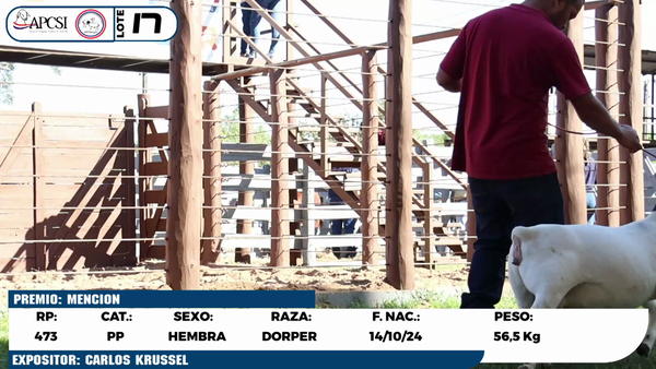 Lote LOTE 17