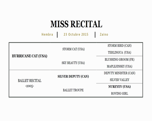 Lote MISS RECITAL (HURRICANE CAT - BALLET RECITAL)