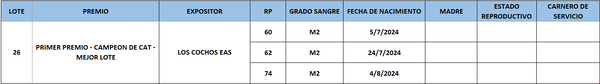 Lote LOTE 26