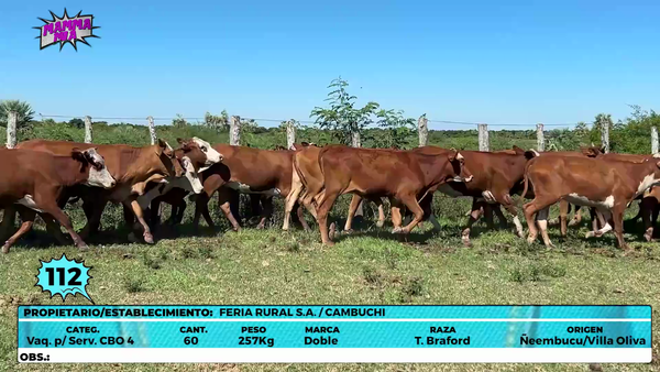 Lote LOTE 112