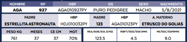 Lote LOTE 75