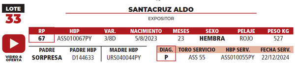 Lote LOTE 33