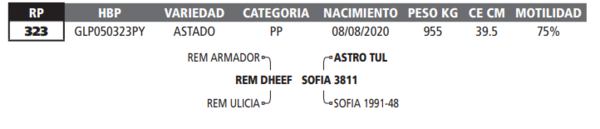 Lote LOTE 72