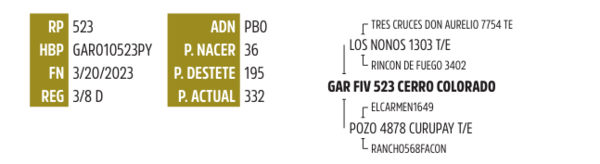 Lote LOTE 23