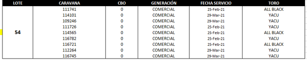 Lote Reproductores de Alborada - Lote 54