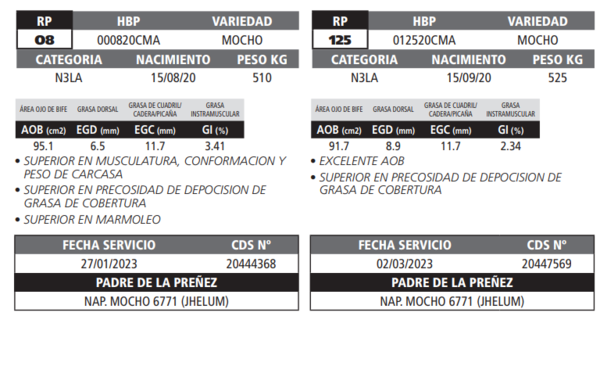 Lote LOTE 43