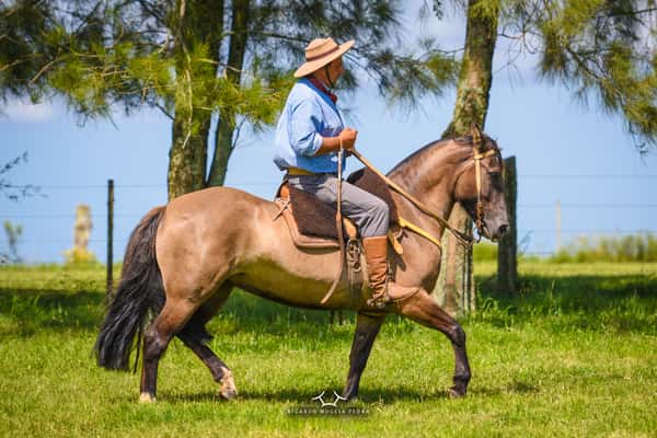 Lote El Gavilán Lagarta (RP 405) Cabaña "El Gavilán"