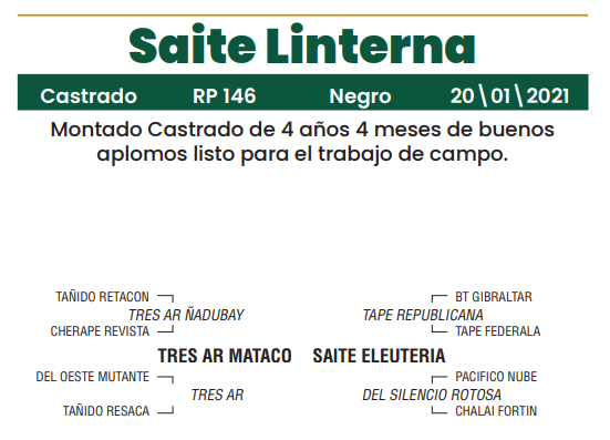 Lote LOTE 24