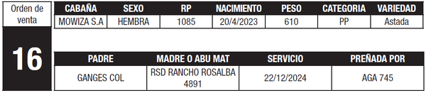 Lote LOTE 16