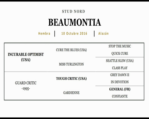Lote BEAUMONTIA (INCURABLE OPTIMIST - GUARD CRITIC)