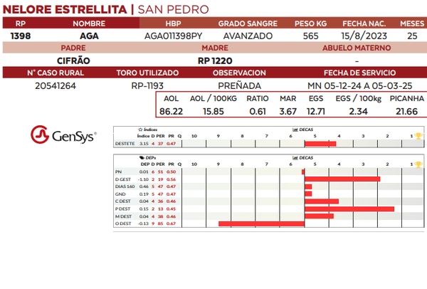 Lote LOTE 36