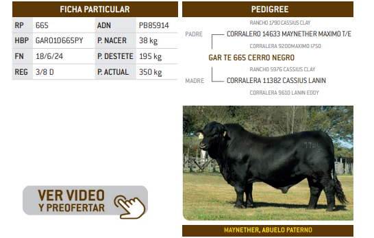 Lote LOTE 18