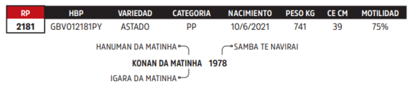 Lote LOTE 57