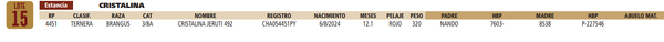 Lote LOTE 15