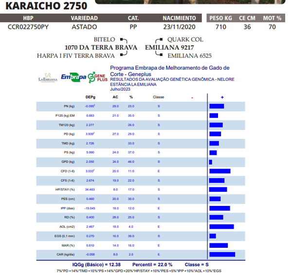Lote LOTE 39