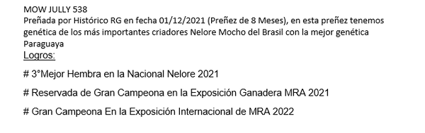 Lote Nelore a Bozal Expo Internacional 2022 RP 538  - Lote 20